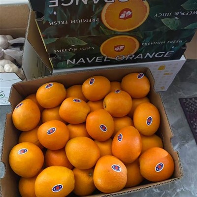 Taglia 80 Fresh Newhall Navel Orange